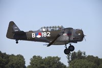 Framed T-6 Harvard Trainer of the Dutch Air Force Historic Flight Team