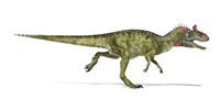 Framed Cryolophosaurus Dinosaur on White Background