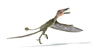 Framed Dorygnathus Dinosaur