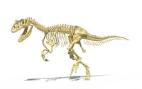 Framed 3D Rendering of an Allosaurus Dinosaur Skeleton