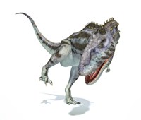 Framed Majungasaurus Dinosaur on White Background