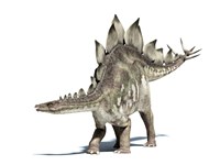 Framed 3D Rendering of a Stegosaurus Dinosaur