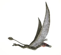 Framed Dorygnathus Flying Dinosaur