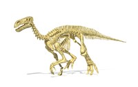 Framed 3D Rendering of an Lguanodon Dinosaur Skeleton