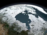 Framed Hudson Bay Sea Ice on November 14, 2005