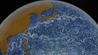 Framed This Visualization Shows Ocean Surface Currents of the Kuroshio Current