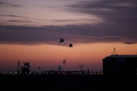 Framed pair of UH-60 Black Hawk helicopters approach their Landing in Baghdad, Iraq