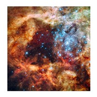 Framed Hubble Space Telescope image of the R136 Super Star Cluster