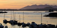 Framed Sunset at Tofino, Harbor, Vancouver Island, British Columbia