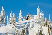 Framed Mountain cabin, Seymour Mountain, British Columbia