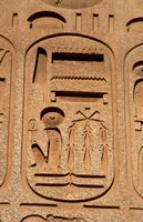 Framed Hieroglyphics, Obelisk, Ramses II, Temple of Luxor, Egypt
