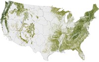 Framed Map of the United States Showing the Concentration of Biomass