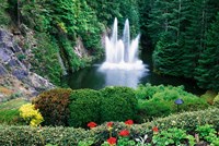 Framed Butchart Gardens, Saanich, Vancouver Island, British Columbia