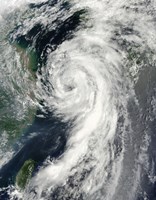 Framed Tropical Storm Dianmu