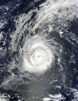 Framed Hurricane Julia
