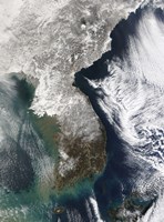 Framed Snow in Korea