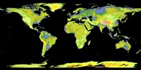 Framed Digital Elevation Model of the Continents on Earth