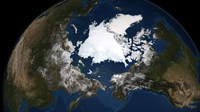 Framed Arctic sea ice