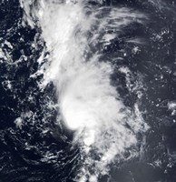 Framed Tropical Storm Dolly