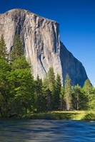 Framed El Capitan and Merced River Yosemite NP, CA