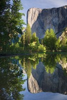 Framed El Capitan reflected in Merced River Yosemite NP, CA