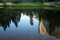 Framed Reflection of El Capitan in Mercede River, Yosemite National Park, California - Horizontal