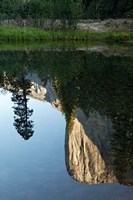 Framed Reflection of El Capitan in Mercede River, Yosemite National Park, California - Vertical