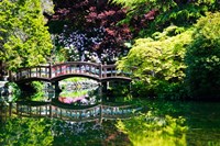 Framed British Columbia, Vancouver, Hately Gardens bridge