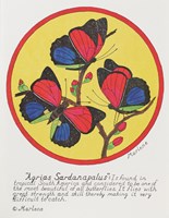 Framed Agrias Sardanaplaus