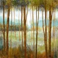 Framed Soft Forest I