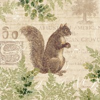 Framed Woodland Trail III (Squirrel)
