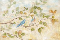 Framed Blue Birds Branch