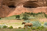 Framed Canyon De Chelly