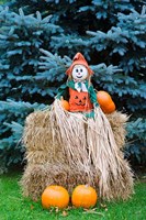 Framed Wisconsin Autumn haystack, Halloween decorations