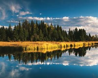 Framed Trees reflecting in Snake River, Grand Teton National Park, Wyoming