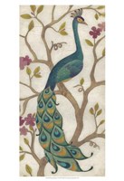 Framed Peacock Fresco I