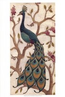 Framed Peacock Fresco II