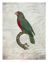 Framed Parrot Jungle VI