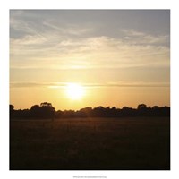 Framed Sunset Field I