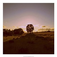 Framed Sunset Field II