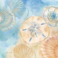 Framed Watercolor Shells III