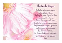 Framed Lord's Prayer - Floral