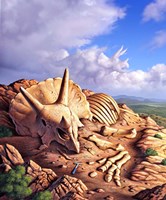 Framed Bones of a Triceratops