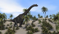 Framed Large Brachiosaurus in a Tropical Environment