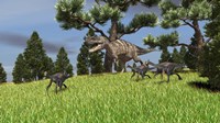 Framed Ceratosaurus Chasing Gigantoraptors