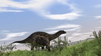 Framed Dicraeosaurus Walking