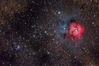 Framed Trifid Nebula