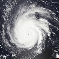 Framed Hurricane Frances