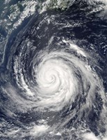 Framed Typhoon Rusa