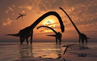 Framed Omeisaurus Sauropod Dinosaurs